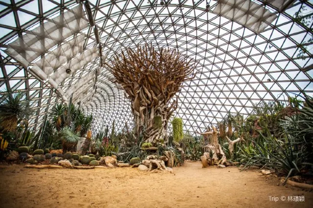 Best Free Things to Do In NYC From Museums to Attractions