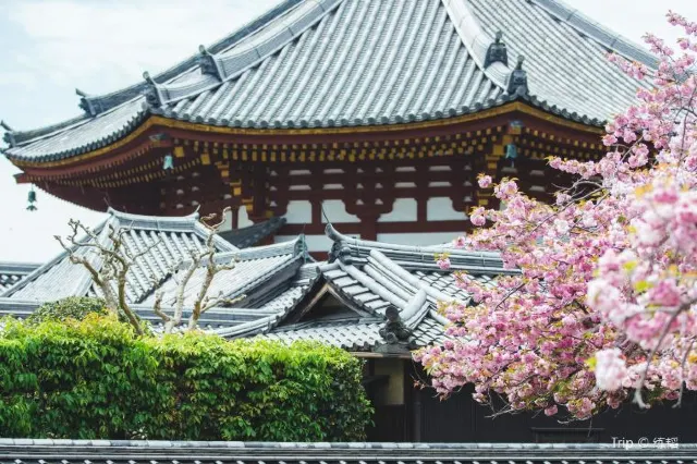 11 Traditional and Fun Things to Do in Nara
