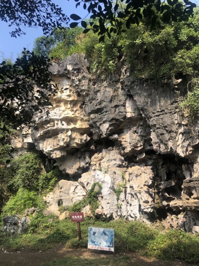 Shijinglin Sceneic Area
