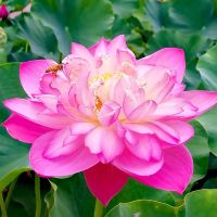 評論圖片 8