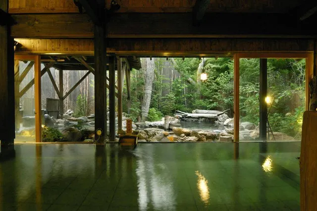 The Journey is Not Complete Until You Soak in The Hot Springs of These Tokyo Hotels