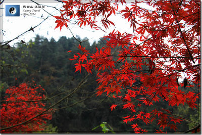 Xiao Yao Valley, Wudang