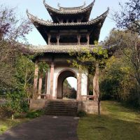 評論圖片 2
