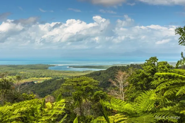 Gondwana Rainforests and More: Australia Rainforests