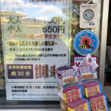 評論圖片 7