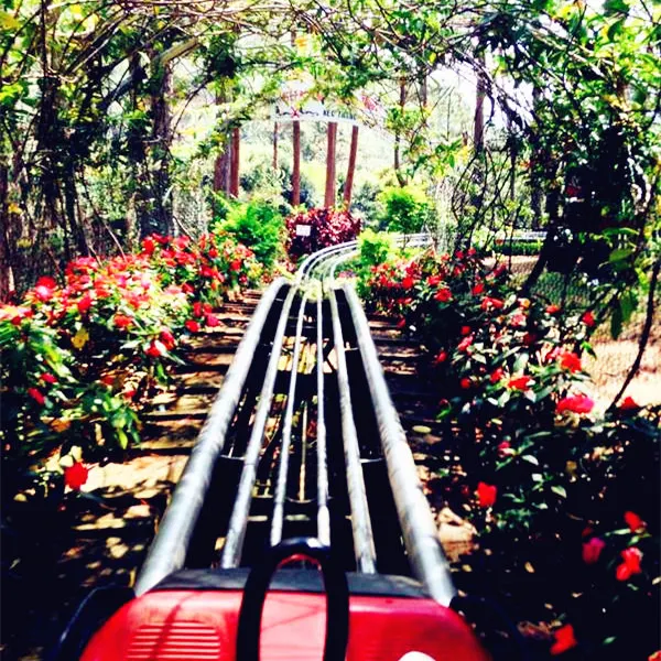 8 Things You Must Do to Play Around