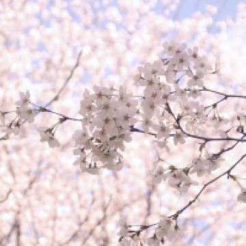 評論圖片 5
