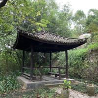 評論圖片 9
