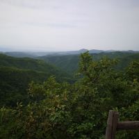 評論圖片 6