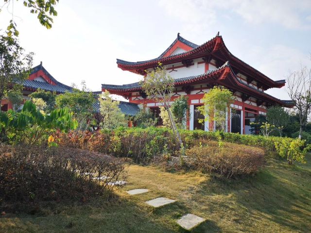 Wucai Tuanyuan Farmers Festival