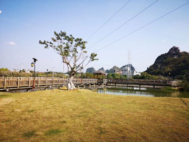 Wucai Tuanyuan Farmers Festival