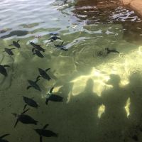 評論圖片 2