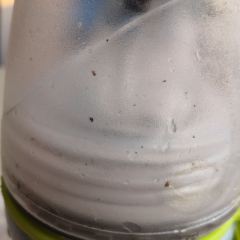 清真牛街寶記豆汁店（牛街輸入衚衕店）張用戶圖片