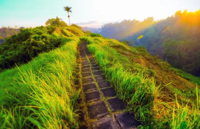 What To Do In Ubud With The Kids: 3 Easy Treks For The Family