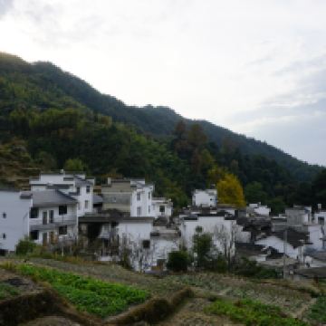 評論圖片 5