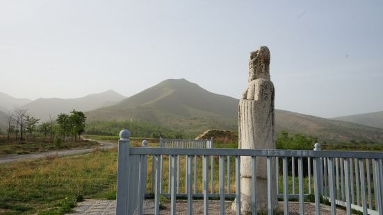 唐贞陵为唐宣宗李忱的陵墓，位于泾阳县白王镇崔黄村东北,北仲山