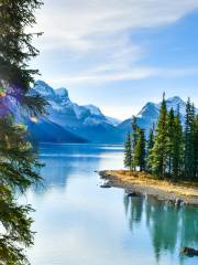 Parc national du Canada Jasper