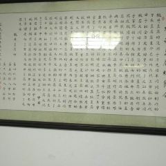 大板井 User Photo