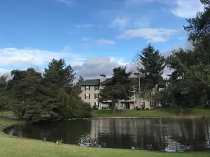 Zoo Lake