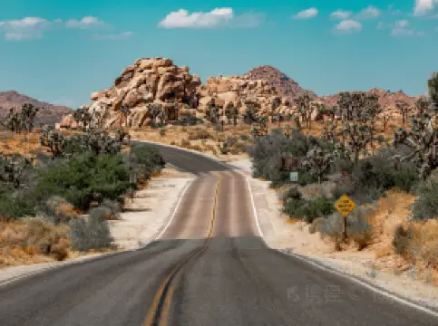 Joshua Tree National Park