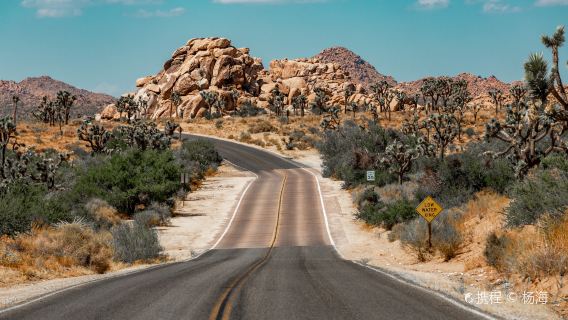 Joshua Tree National Park + Nixon Presidential Library and Museum 1-day tour