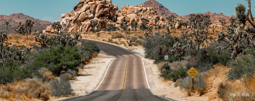 Joshua-Tree-Nationalpark
