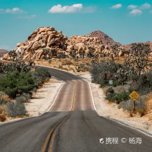 Joshua Tree National Park