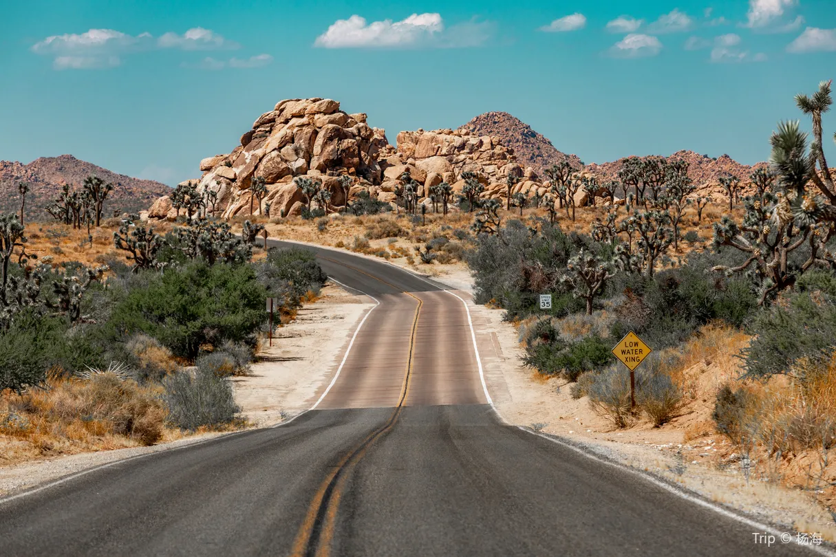 5_Joshua Tree National Park