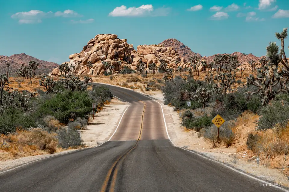 1_Joshua Tree National Park