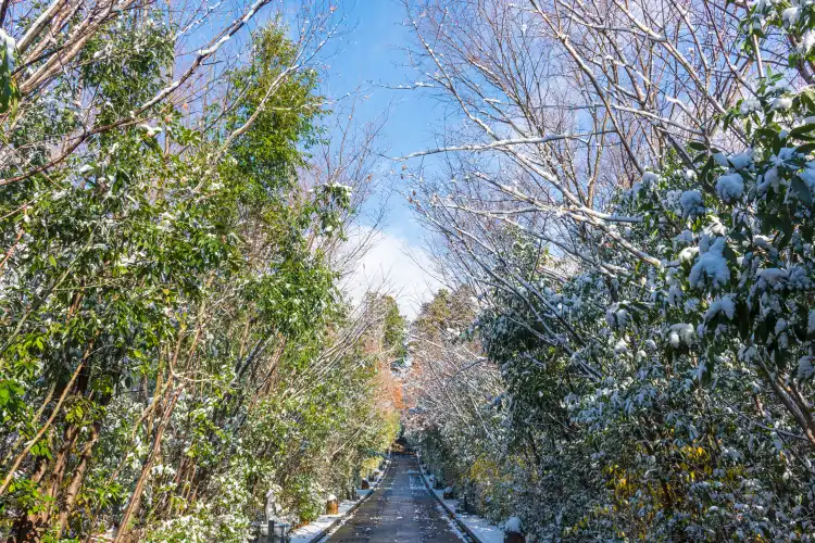Hotel a Hisayama