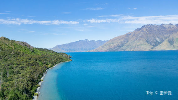 Bob’s Cove Track & Nature Walk