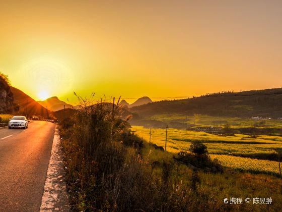 Luoping Canola Flower Ocean