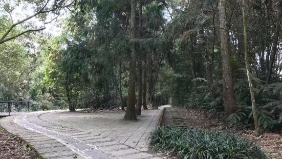 猫兰山步道这里也是非常有意思的一个地方了啊，来这里玩的人真的