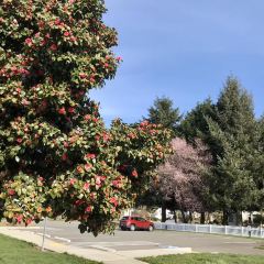 Seasons in the Park User Photo