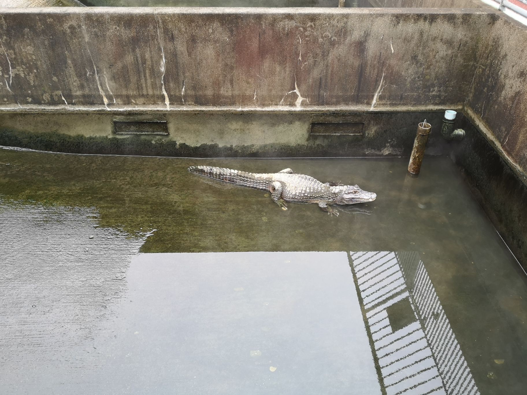 鬼山地獄景點評價 鬼山地獄門票 鬼山地獄優惠 鬼山地獄交通 地址 開放時間 鬼山地獄附近景點 酒店及美食 Trip Com