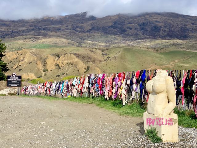 Cardrona Bra Fence