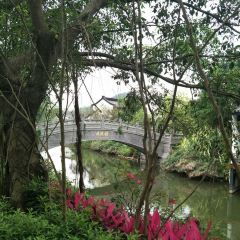 中海湯泉酒店·東坡館張用戶圖片