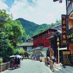 Pangmashengtaiyuan User Photo