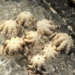 铭聚章鱼土笋冻(松柏店) User Photo