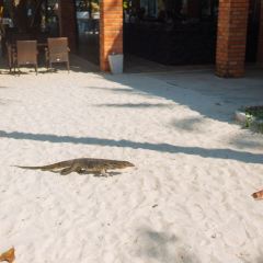 Sabai Beach Restaurant User Photo