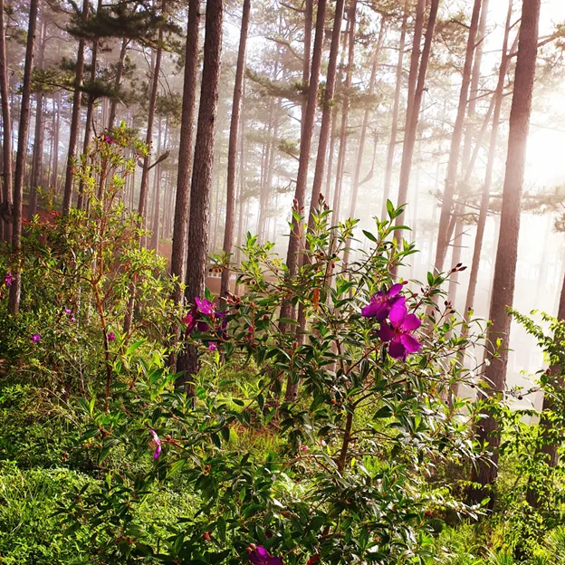 Camping near Singapore: 5 best spots for avid backpackers