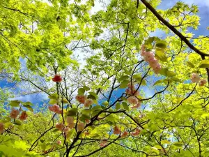 太宰府天滿宮