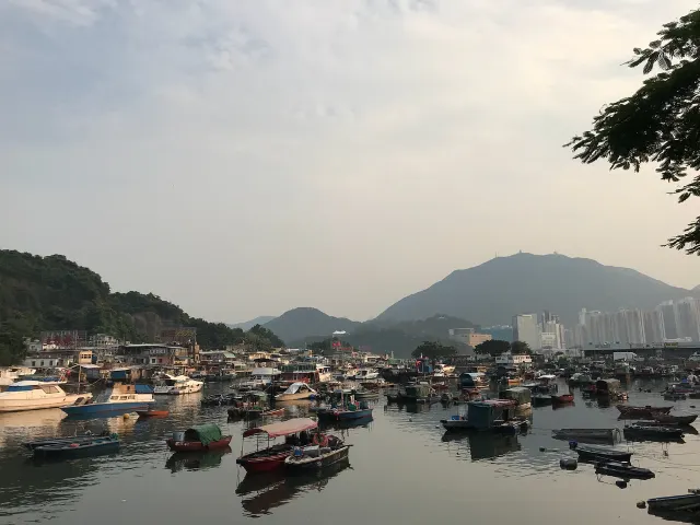 2026 홍콩 해산물 맛집 추천 6곳 🦀 홍콩 여행에서 안 먹으면 반드시 후회할 미슐랭 맛집!!