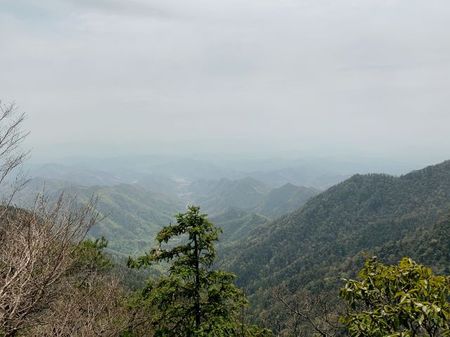 五世同堂