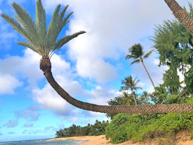 Honolulu