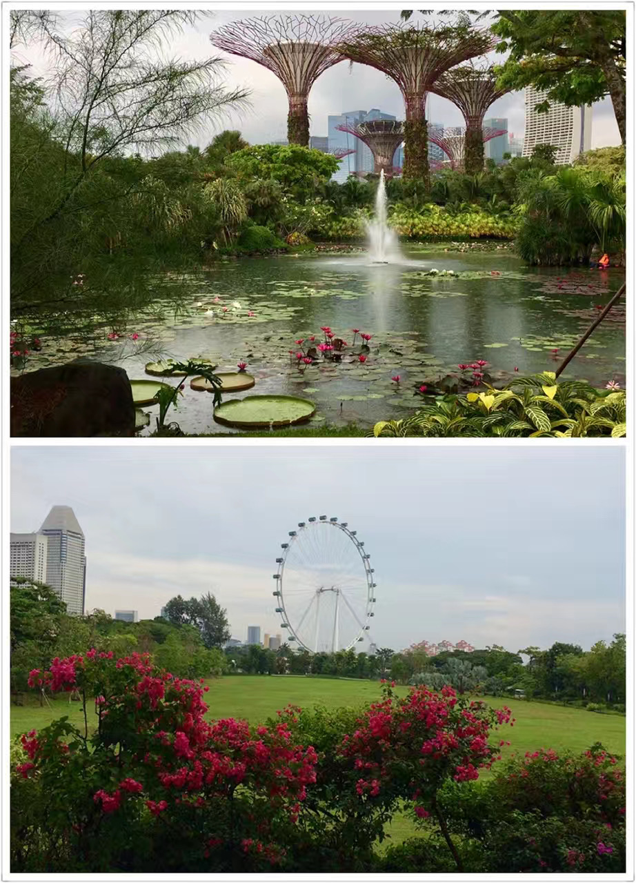 Esplanade Park Travel Guidebook Must Visit Attractions In Singapore Esplanade Park Nearby Recommendation Trip Com