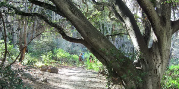 Monrovia Canyon Park