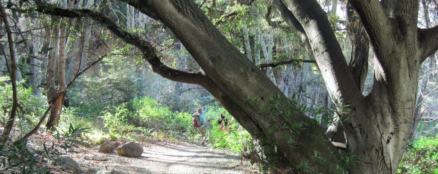 Monrovia Canyon Park