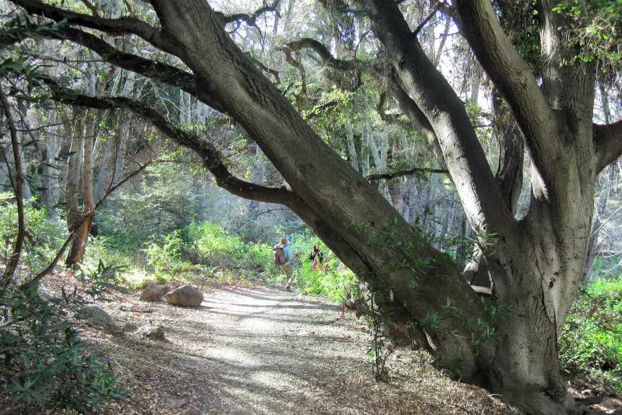 Monrovia Canyon Park