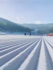 天橋溝滑雪場